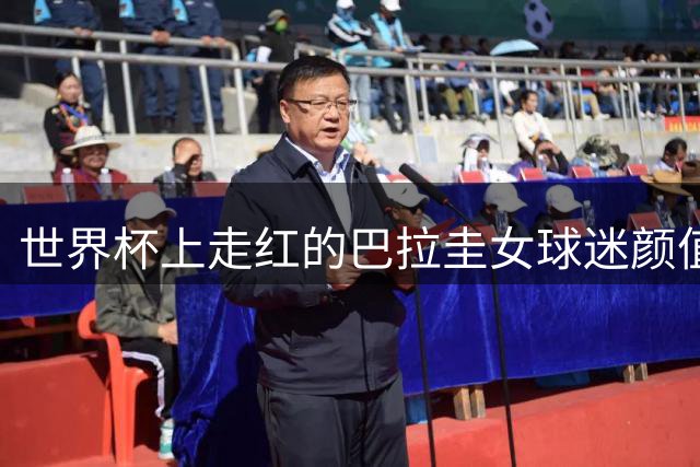 世界杯上走红的巴拉圭女球迷颜值身材引热议