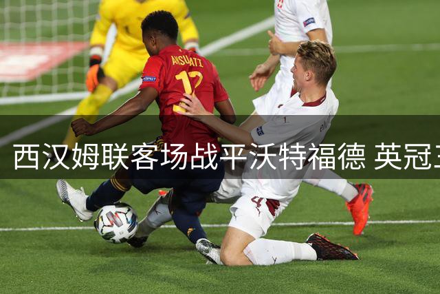 西汉姆联客场战平沃特福德 英冠三轮未尝胜果